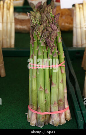 Bundle Bündel frischer grüner Garten Spargel schießt großaufnahme, erhöhte erhöhte Ansicht Stockfoto