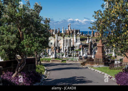 Waverley Friedhof, Bronte, östlichen Vororte, Sydney, NSW, Australien Stockfoto