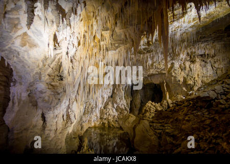 Stalagmiten und Stalaktiten in Ruakuri Höhle, Waitomo in Neuseeland. Stockfoto