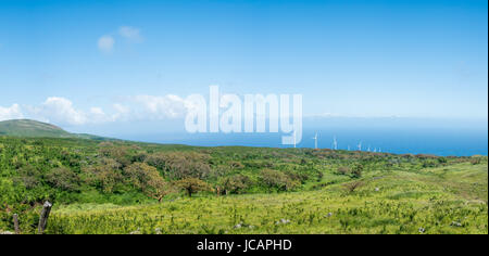 Auwahi Windkraftanlagen um die Rückseite des Haleakala auf Maui Stockfoto