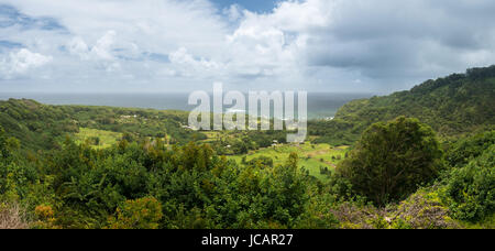 Panoramablick über Taro-Felder in der Nähe von Keanae in Maui Stockfoto