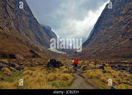 Abenteuer der einzelnen Reisenden Mann in Nepal, Annapurna Region, Annapurna Base Camp-Track. Stockfoto