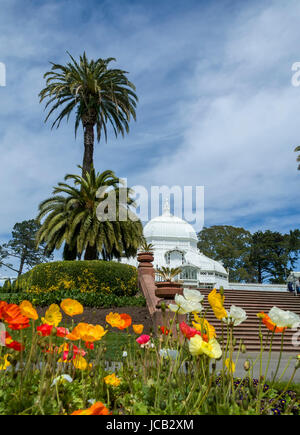 Dies ist ein Bild des Conservatory of Flowers befindet sich in San Francisco Golden Gate Park. Der Wintergarten Funktion Pläne und Blumen aus rund um th Stockfoto