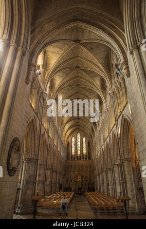Southwark Cathedral gewölbte Decke Stockfoto