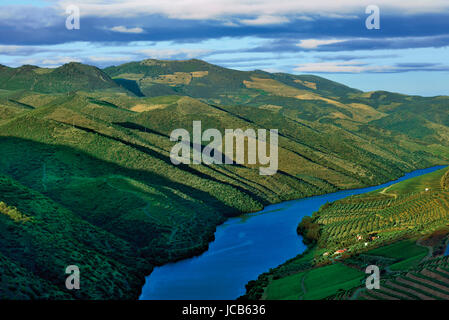 Blick auf den Fluss Douro Stockfoto