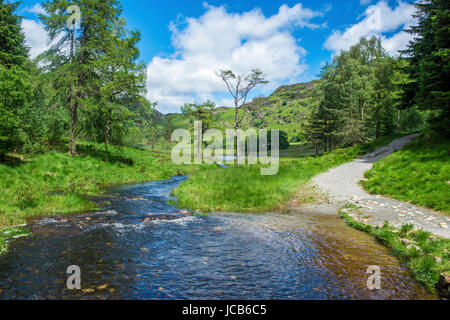 Der Abfluss Blea Tarn im Lake District National Park, die Bleamoss Beck wird Stockfoto