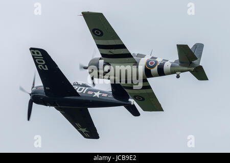 Grumman Bearcat Wildcat Stockfoto