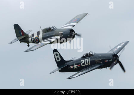 Grumman Bearcat Wildcat Stockfoto