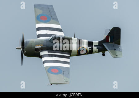 Grumman Bearcat Wildcat Stockfoto