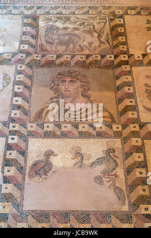 Paphos archäologische Park, Mosaiken, Hafengebiet, Paphos, Zypern Stockfoto