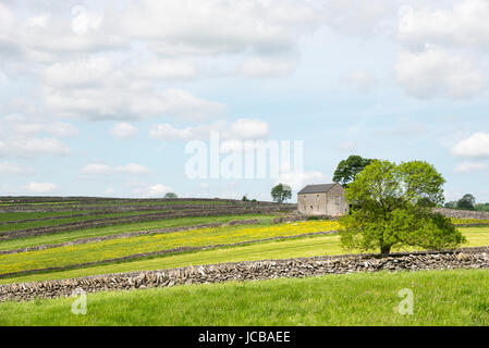 Kalkwände am Stadtrand von Litton Dorf in der weißen Spitze, Derbyshire, England. Stockfoto