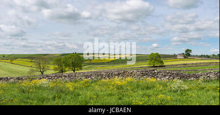 Kalkwände am Stadtrand von Litton Dorf in der weißen Spitze, Derbyshire, England. Stockfoto