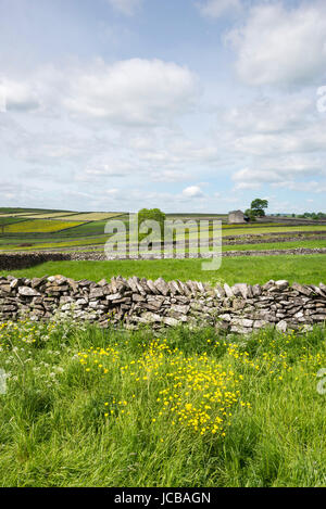 Grüne Felder und Kalksteinmauern Litton Village im Peak District, Derbyhsire, England. Stockfoto