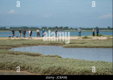 Gruppe von Vogelbeobachter am Pagham Harbour Nature Reserve, Susex, UK Stockfoto