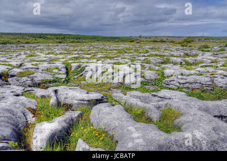 Kalkstein-Feld in die Burren, Irland. Stockfoto
