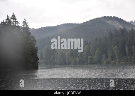 Nebligen Landschaft in Sösestausee, Riefensbeek-Kamschlacken,Harz,Germany.Sösestausee Im Nebel Und Regen, Harz. Stockfoto