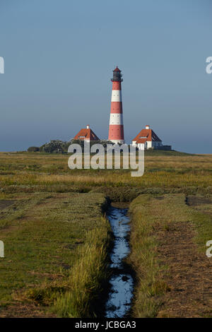 Landschaft mit Salzwiesen Anad Leuchtturm Westerhever befindet sich nahe der Küste der Nordsee, an einem sonnigen Morgen getroffen. Dieser Landschaft liegt in der Nähe der Küste der Nordsee (Nordfriesland, Deutschland, Schleswig-Holstein): Stockfoto