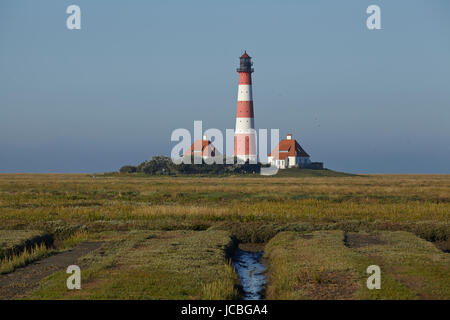 Landschaft mit Salzwiesen Anad Leuchtturm Westerhever befindet sich nahe der Küste der Nordsee, an einem sonnigen Morgen getroffen. Dieser Landschaft liegt in der Nähe der Küste der Nordsee (Nordfriesland, Deutschland, Schleswig-Holstein): Stockfoto