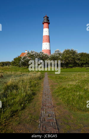 Landschaft mit Salzwiesen Anad Leuchtturm Westerhever befindet sich nahe der Küste der Nordsee, an einem sonnigen Morgen getroffen. Dieser Landschaft liegt in der Nähe der Küste der Nordsee (Nordfriesland, Deutschland, Schleswig-Holstein): Stockfoto