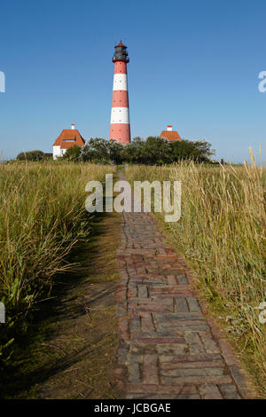 Landschaft mit Salzwiesen Anad Leuchtturm Westerhever befindet sich nahe der Küste der Nordsee, an einem sonnigen Morgen getroffen. Dieser Landschaft liegt in der Nähe der Küste der Nordsee (Nordfriesland, Deutschland, Schleswig-Holstein): Stockfoto