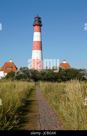 Landschaft mit Salzwiesen Anad Leuchtturm Westerhever befindet sich nahe der Küste der Nordsee, an einem sonnigen Morgen getroffen. Dieser Landschaft liegt in der Nähe der Küste der Nordsee (Nordfriesland, Deutschland, Schleswig-Holstein): Stockfoto