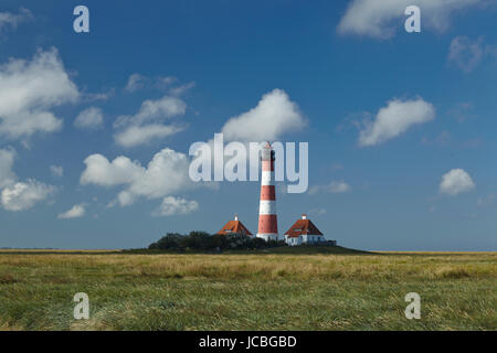 Landschaft mit Salzwiesen Anad Leuchtturm Westerhever befindet sich nahe der Küste der Nordsee, an einem sonnigen Morgen getroffen. Dieser Landschaft liegt in der Nähe der Küste der Nordsee (Nordfriesland, Deutschland, Schleswig-Holstein): Stockfoto