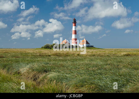 Landschaft mit Salzwiesen Anad Leuchtturm Westerhever befindet sich nahe der Küste der Nordsee, an einem sonnigen Morgen getroffen. Dieser Landschaft liegt in der Nähe der Küste der Nordsee (Nordfriesland, Deutschland, Schleswig-Holstein): Stockfoto