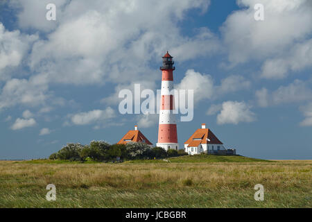 Landschaft mit Salzwiesen Anad Leuchtturm Westerhever befindet sich nahe der Küste der Nordsee, an einem sonnigen Morgen getroffen. Dieser Landschaft liegt in der Nähe der Küste der Nordsee (Nordfriesland, Deutschland, Schleswig-Holstein): Stockfoto