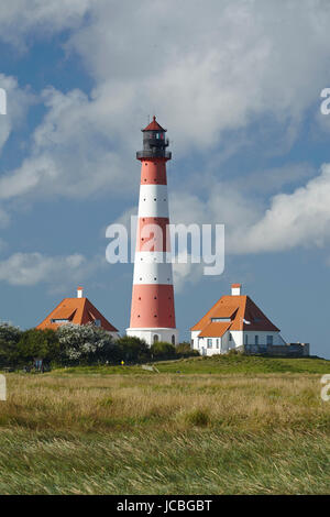 Landschaft mit Salzwiesen Anad Leuchtturm Westerhever befindet sich nahe der Küste der Nordsee, an einem sonnigen Morgen getroffen. Dieser Landschaft liegt in der Nähe der Küste der Nordsee (Nordfriesland, Deutschland, Schleswig-Holstein): Stockfoto