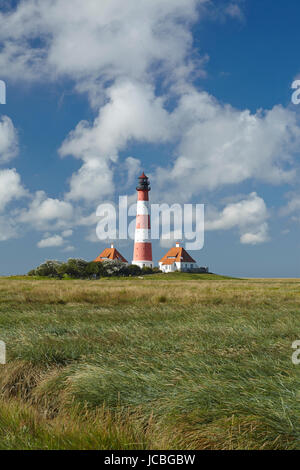 Landschaft mit Salzwiesen Anad Leuchtturm Westerhever befindet sich nahe der Küste der Nordsee, an einem sonnigen Morgen getroffen. Dieser Landschaft liegt in der Nähe der Küste der Nordsee (Nordfriesland, Deutschland, Schleswig-Holstein): Stockfoto