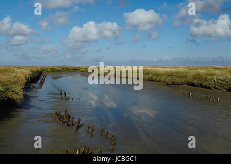 Landschaft mit Salzwiesen Anad Leuchtturm Westerhever befindet sich nahe der Küste der Nordsee, an einem sonnigen Morgen getroffen. Dieser Landschaft liegt in der Nähe der Küste der Nordsee (Nordfriesland, Deutschland, Schleswig-Holstein): Stockfoto