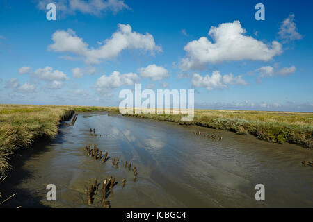 Landschaft mit Salzwiesen Anad Leuchtturm Westerhever befindet sich nahe der Küste der Nordsee, an einem sonnigen Morgen getroffen. Dieser Landschaft liegt in der Nähe der Küste der Nordsee (Nordfriesland, Deutschland, Schleswig-Holstein): Stockfoto