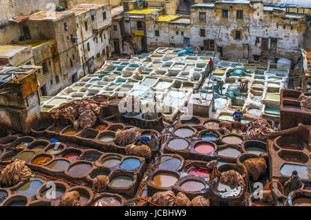 Gerberei in Fez, Marokko Stockfoto