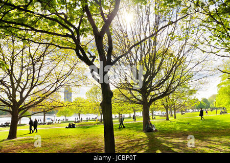 Hyde Park, London.  Ein gemütlicher Spaziergang unter sonnigen Bäumen im Londoner Hyde Park in Richtung des berühmten Serpentine-Flusses. Stockfoto