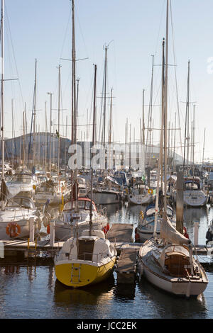 Boote vertäut fein säuberlich in Sutton Harbour Marina bei Sonnenuntergang, The Barbican, Plymouth, Devon, England, Vereinigtes Königreich Stockfoto
