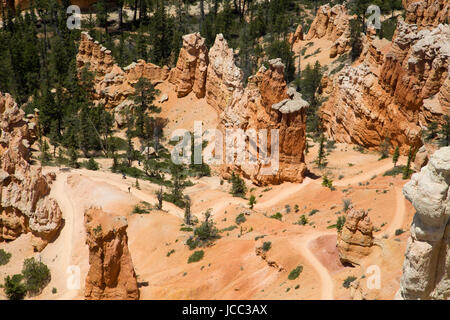 Wanderweg der Peekaboo Loop (siehe unten), Ansicht von Bryce Point, Bryce-Canyon-Nationalpark, Utah, USA Stockfoto