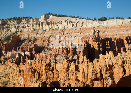 Blick von der Rim Trail, Bryce-Canyon-Nationalpark, Utah, USA Stockfoto