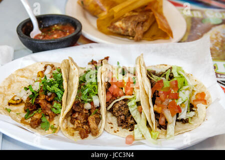 Miami Florida, Little Havana, Nachbarschaft, Taqueria El Mexicano, Restaurant Restaurants Essen Essen Essen Cafe Cafés, Essen Essen Essen, mexikanisch, Essen, Teller, Carnitas, ta Stockfoto