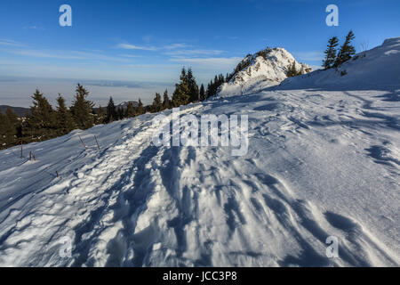 Postavaru Berge im Winter. Die Höhe des Peaks ist 1799 m. Poiana Brasov, Rumänien Stockfoto