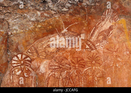 Aborigine-Felskunst Darstellung Fische, Nourlangie, Kakadu-Nationalpark, Northern Territory, Australien Stockfoto