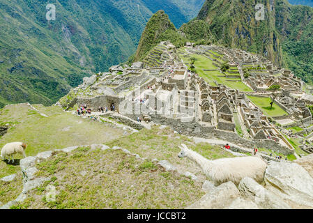 Machu Picchu, Cusco, Peru und Umgebung: Stockfoto