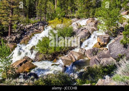 Rauschenden Wasser In einem Gebirgsbach aus Schnee schmelzen Stockfoto