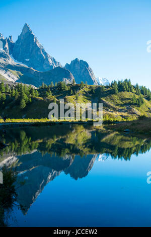 Combal See Wasser spiegeln Combal Nadeln an einem sonnigen Tag im Val Veny in Italien. Stockfoto