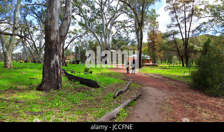 Foto auf einen viertägigen Urlaub im Oktober 2016 während Ihres Aufenthalts im Willow Springs Station, Jackaroos Cottage, Flinders Ranges, South Australia Stockfoto