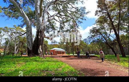 Foto auf einen viertägigen Urlaub im Oktober 2016 während Ihres Aufenthalts im Willow Springs Station, Jackaroos Cottage, Flinders Ranges, South Australia Stockfoto