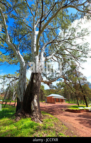 Foto auf einen viertägigen Urlaub im Oktober 2016 während Ihres Aufenthalts im Willow Springs Station, Jackaroos Cottage, Flinders Ranges, South Australia Stockfoto