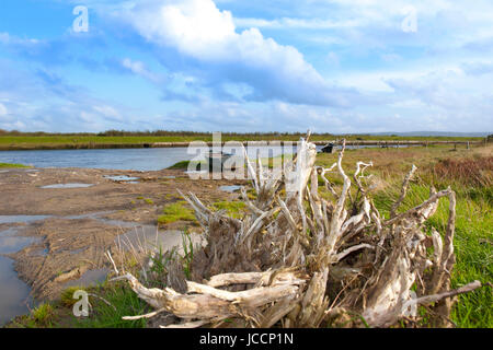 Moor Eiche und alten Ruderboote am Ufer des Flusses Cashen in County Kerry Irland Stockfoto