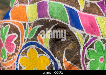 Eine Nahaufnahme des Auges eines Elefanten geschmückt mit bunten Farbe Amber Fort in Jaipur, Indien. Stockfoto