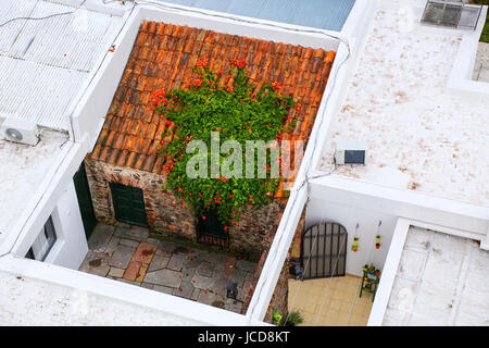 Dächer der Häuser in der Altstadt von Colonia del Sacramento, Uruguay. Es ist eine der ältesten Städte in Uruguay Stockfoto