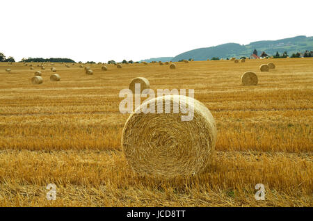 Strohballen Stockfoto